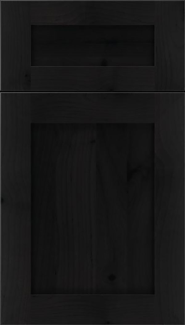 Salem 5pc Alder shaker cabinet door in Charcoal