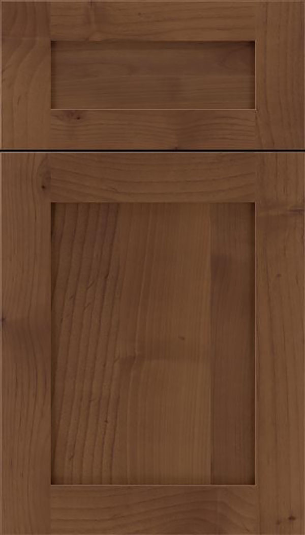 Salem 5pc Alder shaker cabinet door in Sienna