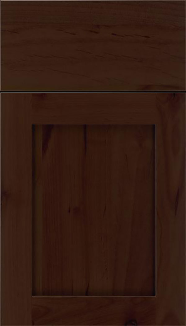 Salem Alder shaker cabinet door in Cappuccino